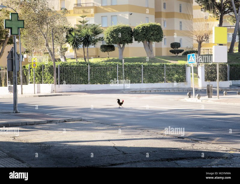 Descubre El Misterioso Juego de Azar de la Calle del Pollo en España - overview